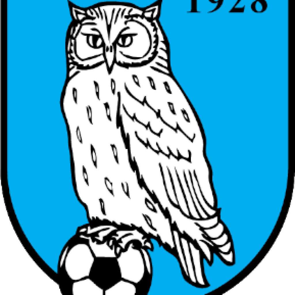sk-moravan-oldrisov